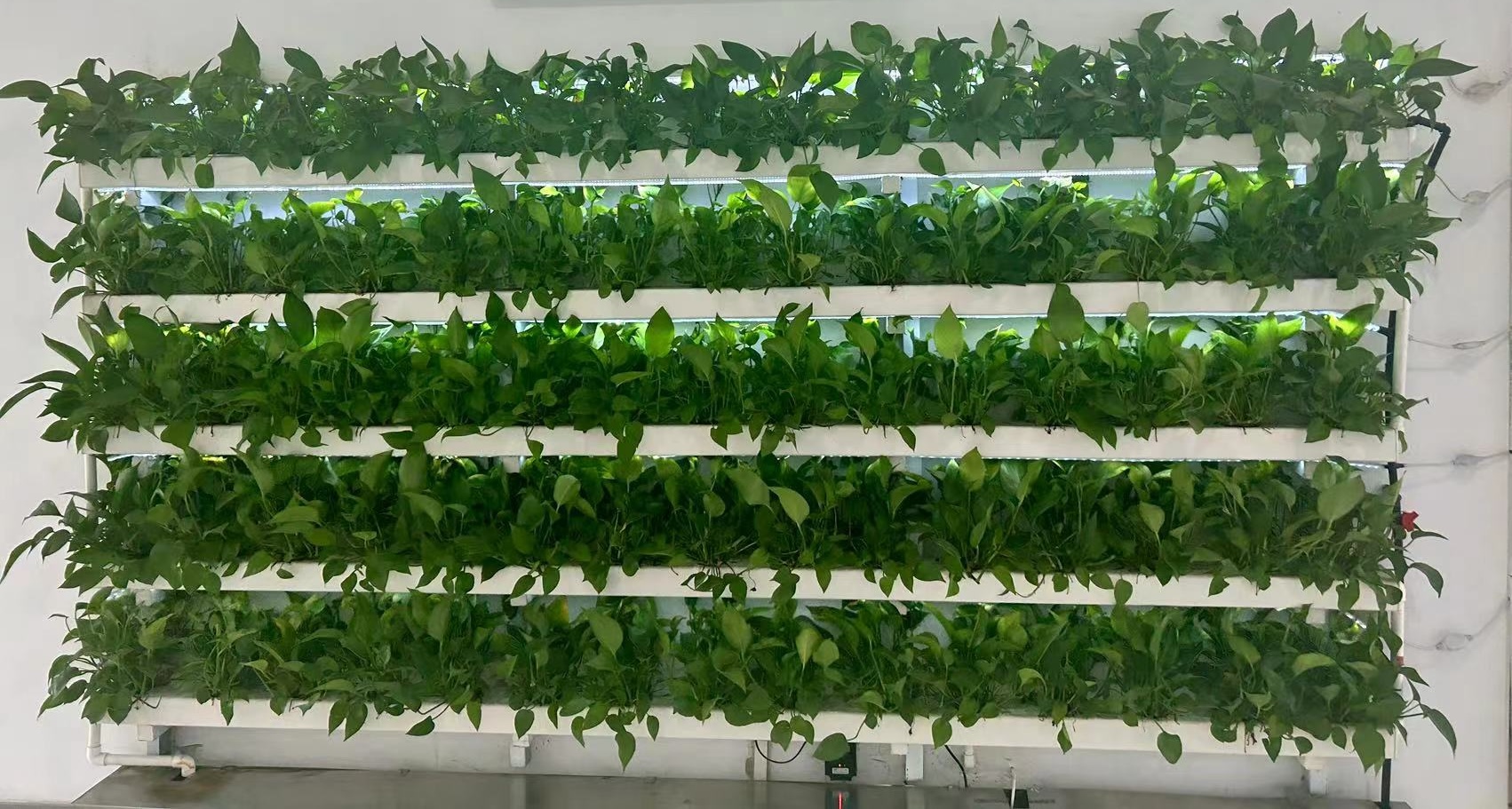 Vibrant “Vertical Forest” Showcases Sustainable Farming on Campus